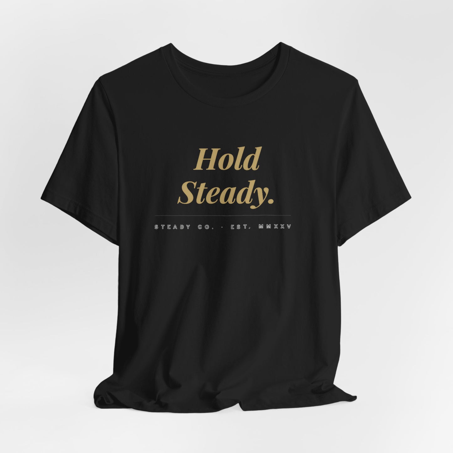 Hold Steady text tee | Inspirational Typography Shirt